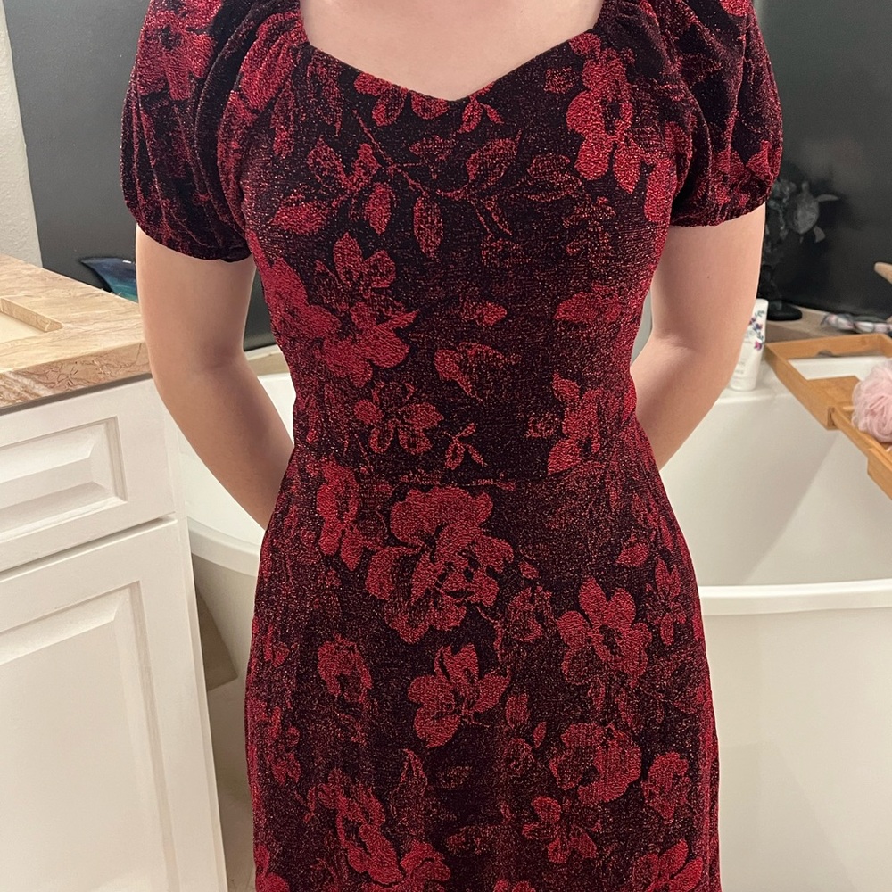Elegant Red Floral Velvet Dress